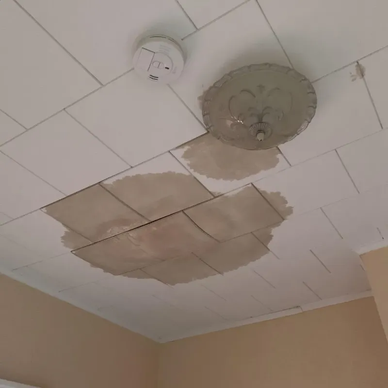 Ceiling Water Damage Repair in Wilton, ME