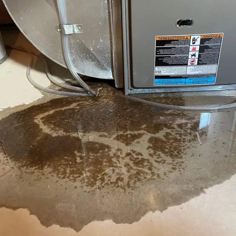 Pipe Burst and Leak Restoration in Wilton, ME