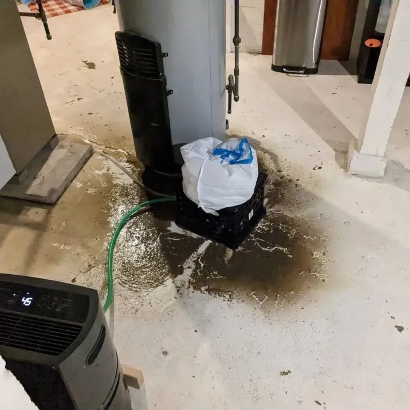 Sewage Backup Cleanup Service in Wilton, ME